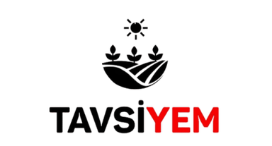 Tavsiyem
